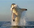 /album/fotogaleria%3a-clase-n%c2%b08-/images-25-jpg/